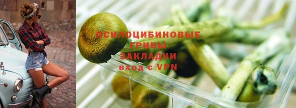 альфа пвп Гусев