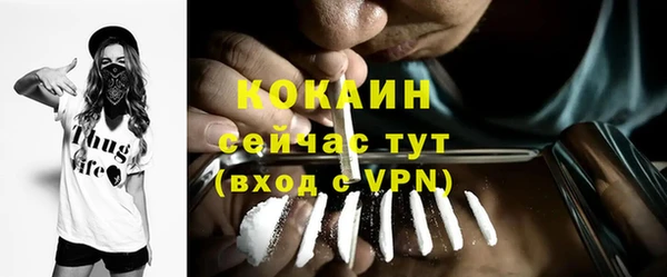 альфа пвп Гусев