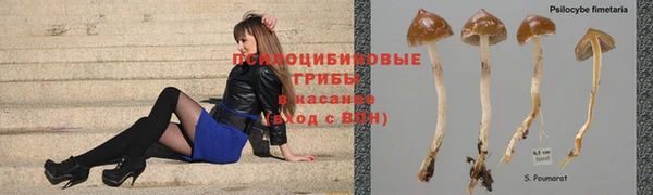 бошки Гусь-Хрустальный