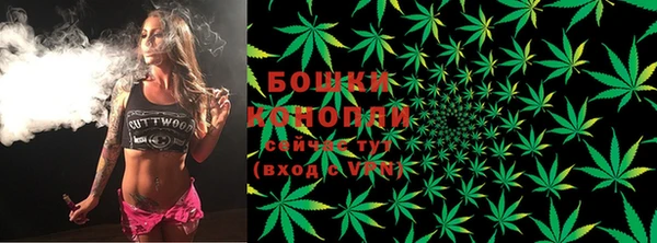 бошки Гусь-Хрустальный