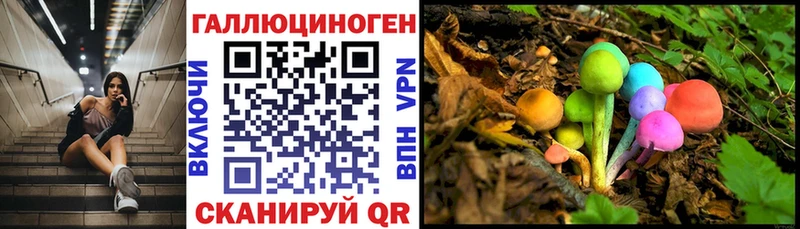 Галлюциногенные грибы мицелий  Купить  Харовск 